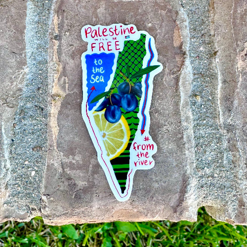 palestine map vinyl sticker